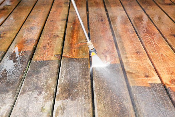 Best Animal Enclosure Cleaning  in Hudson, IL
